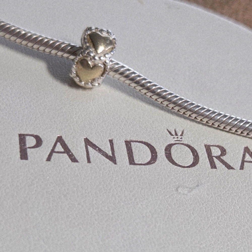 Pandora Charm